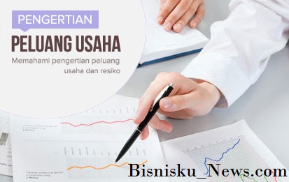 Bisnisku News Pengertian Peluang Usaha