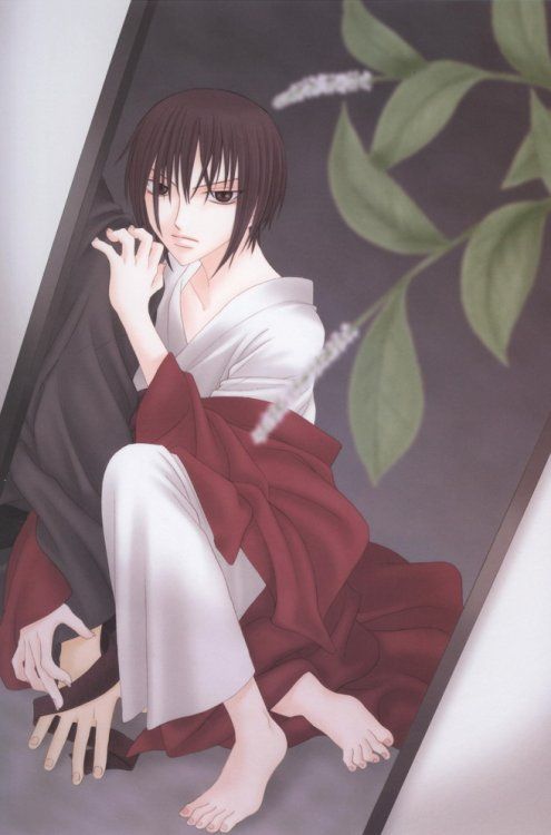 d5367bb78714c9a579769ff358a75ed3--fruits