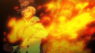 ワンピースアニメ | メラメラの実 | PORTGAS D. ACE | Hello Anime !