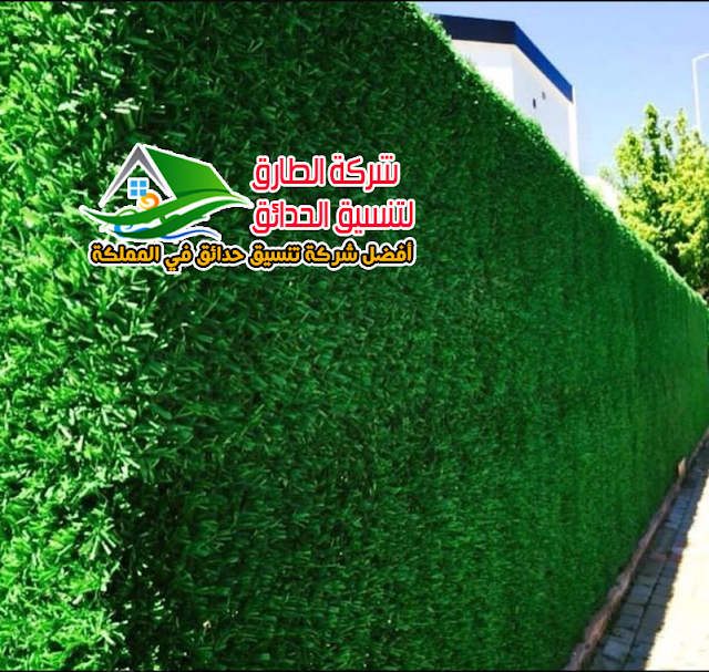 شركة تركيب عشب جدارى بالباحة أفضل ثيل جداري بالباحة أفضل عشب صناعي بالباحة
