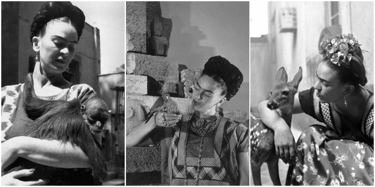 Monkeys, Dogs and Deer: Vintage Portraits of Frida Kahlo Posing With Her  Beloved Pets at Home ~ Vintage Everyday