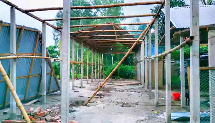 The brother forcibly occupied his brother's land in Roumari রৌমারীতে ভাইয়ের জমি জোরপূর্বক দখল করলো ভাই