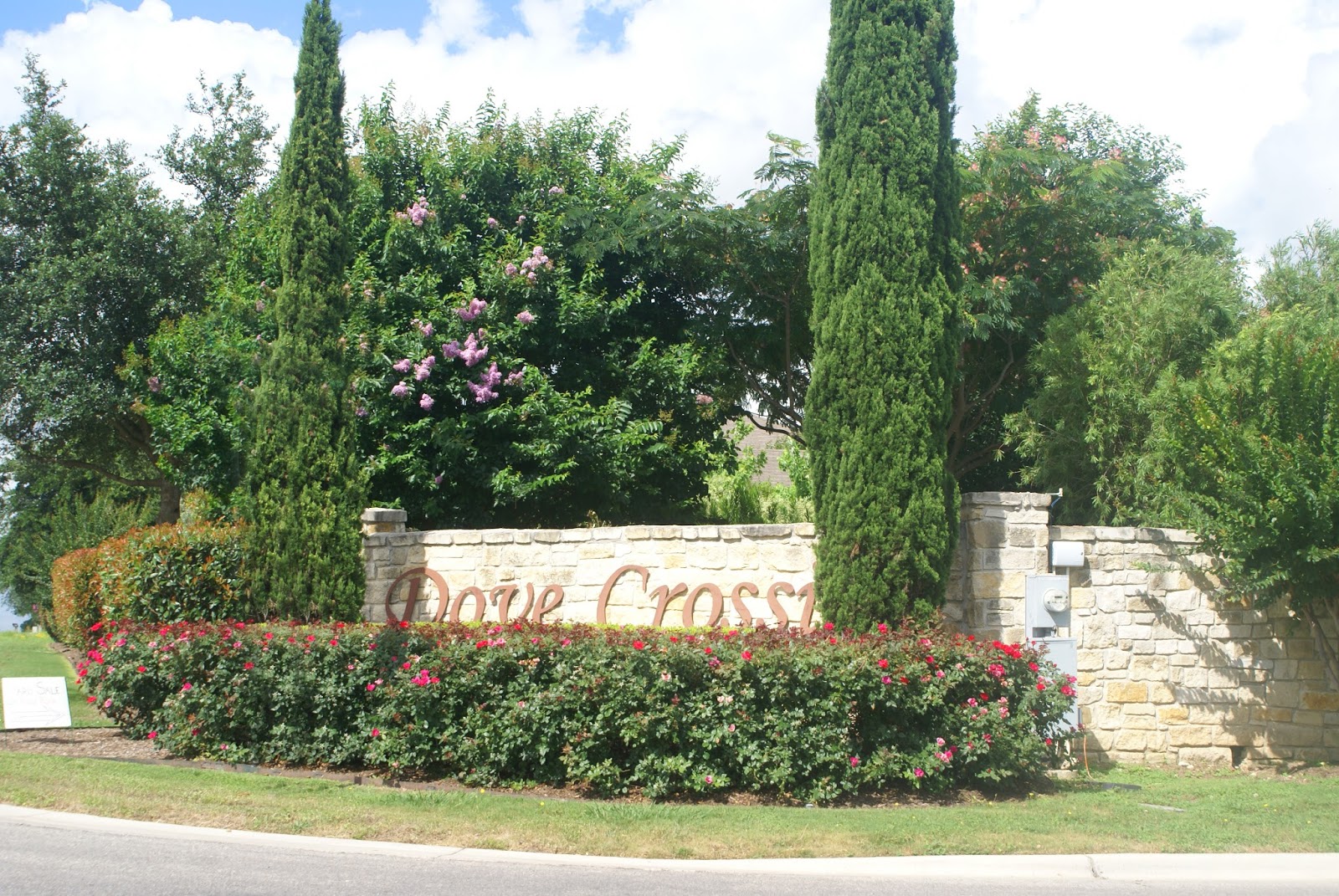 Dawn Loding, Realtor New Braunfels TX 8304817580 Homes for sale in New Braunfels Dove