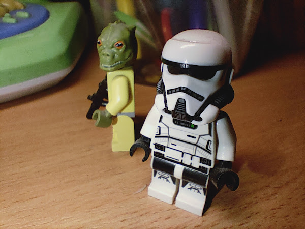 Макросъемка Realme 6 Pro , примеры макросъёмки, фотографии, режим макро