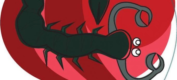 Αυτά είναι τα 4 ζώδια που βγάζουν πολλή «κακία»…