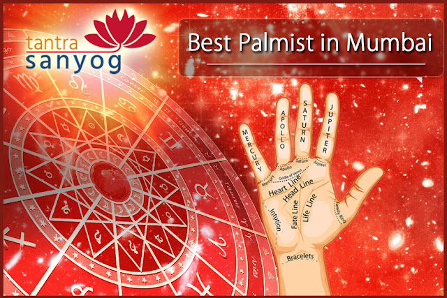best palmist in Mumbai