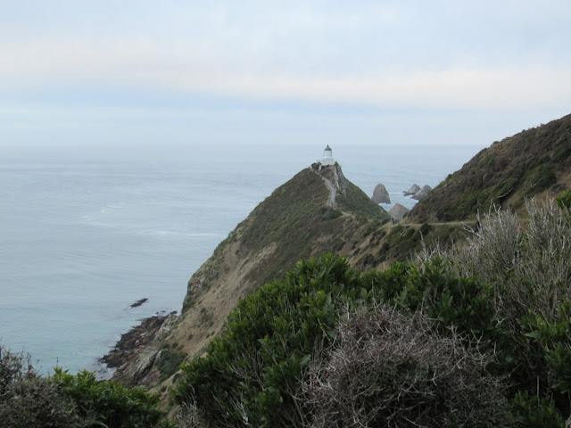 A lo lejos vemos el faro de Nugget Point Faro de Nugget Point