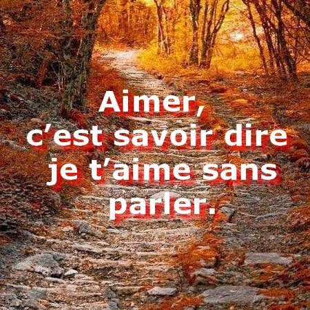 Citation Pour Lui Dire Que Je L Aime