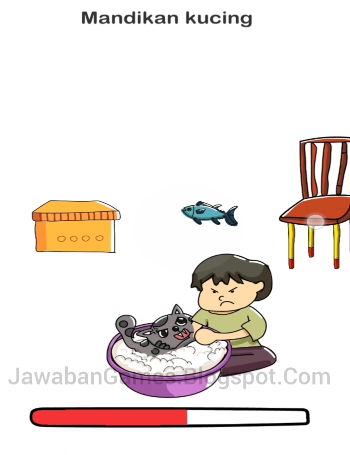 Jawaban Brain Out Memandikan Kucing Belajar