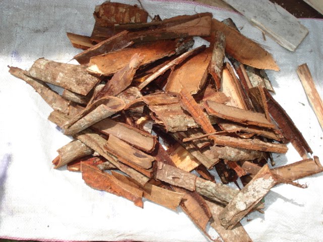 selesaikan pewarnaan