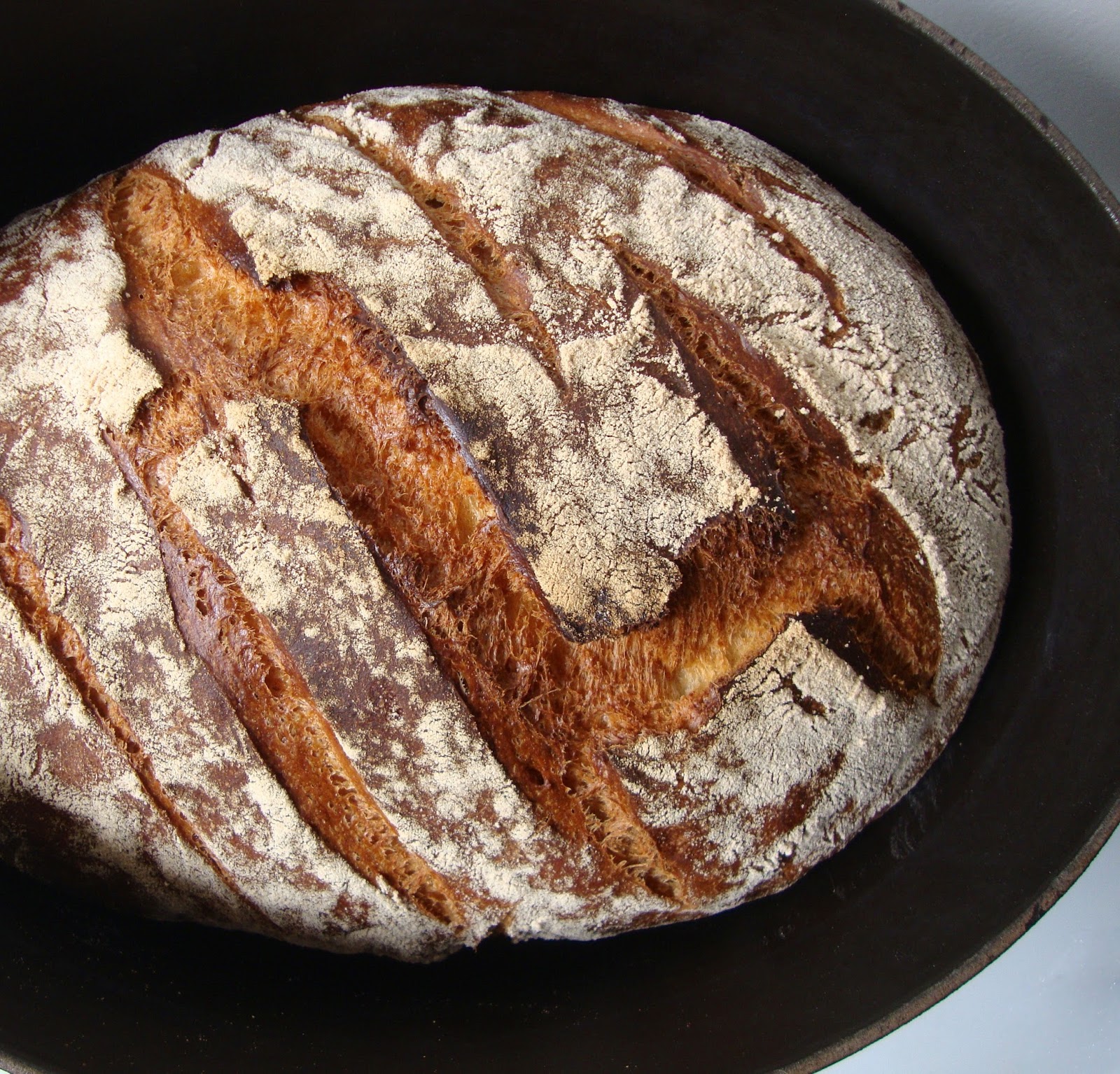 Cooketteria: Overnight Maple Rye Bread aus dem Topf