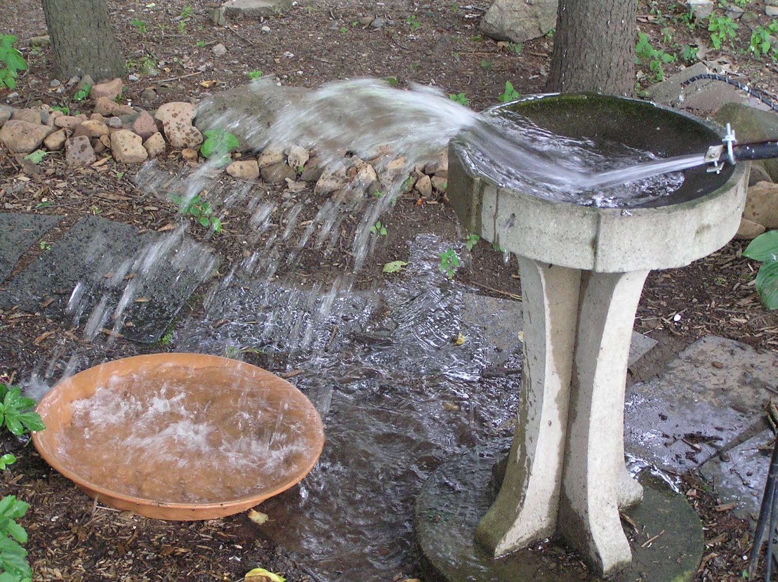 JC's Blog How to Make an Automatic Bird Bath