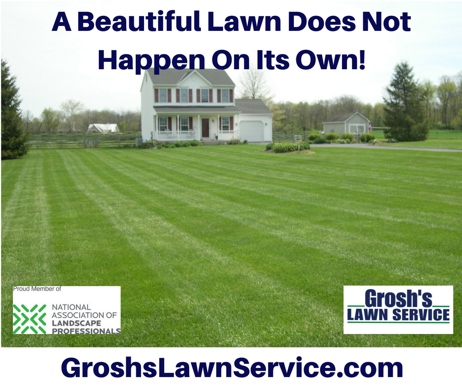 Groshs Lawn Service Lawn Care Treatment Service Williamsport MD