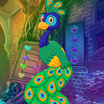 Games4King -  G4K Exquisite Peacock Escape Game