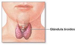 What are the symptoms of thyroid problems in females?, Is a thyroid problem serious?, How does thyroid affect the body?