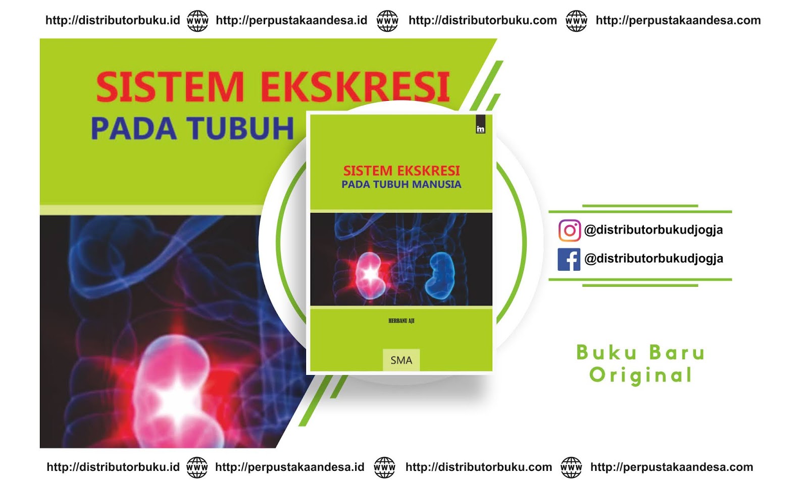 Sistem Ekskresi Pada Tubuh Manusia - Distributor Buku