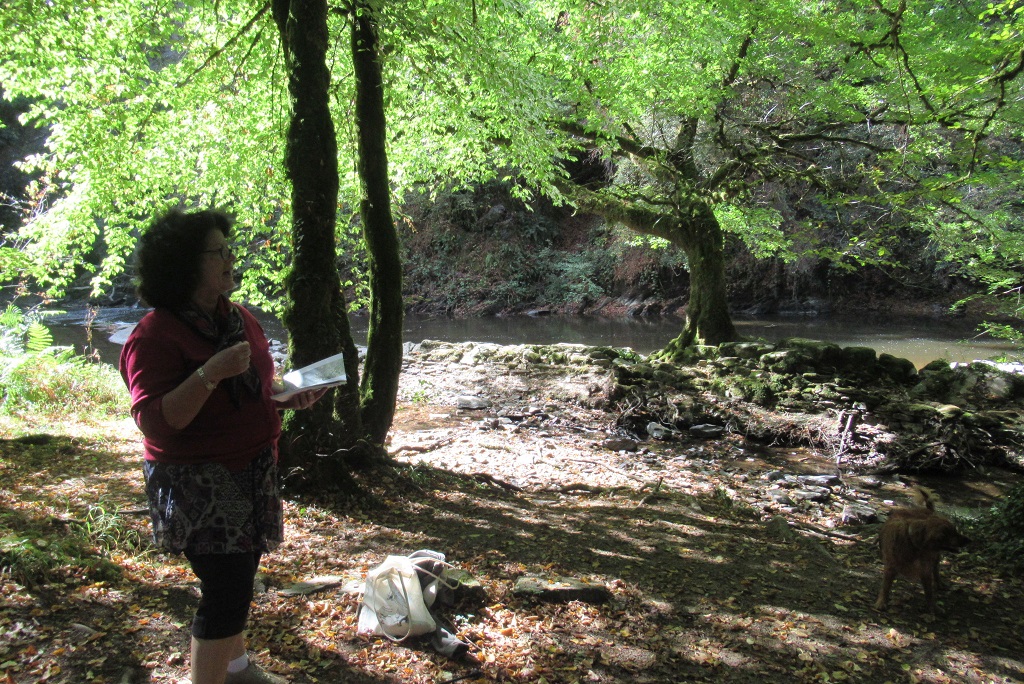 Szondi Test And Its Interpretation 20121 The Leopold Szondi Forum