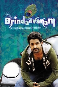 Brindaavanam 2010 Brindaavanam 2010