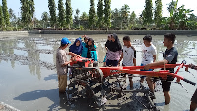 Tahapan Persiapan Dalam Budidaya Ikan Di Kolam Tanah