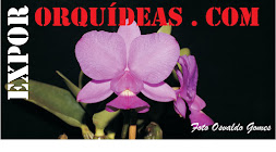 Blogger relacionados a orquideas.