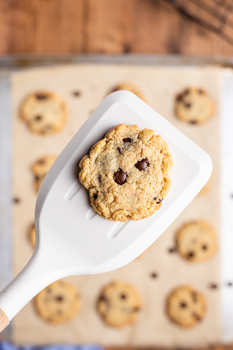 Close up photo of a Low Carb Keto Chocolate Chip Cookies on a white spatula with cookies on a baking sheet in the background.