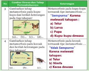 Kunci Jawaban Ipa Kelas 9 Halaman 103 104 Ayo Kita Selesaikan Wali Kelas Sd