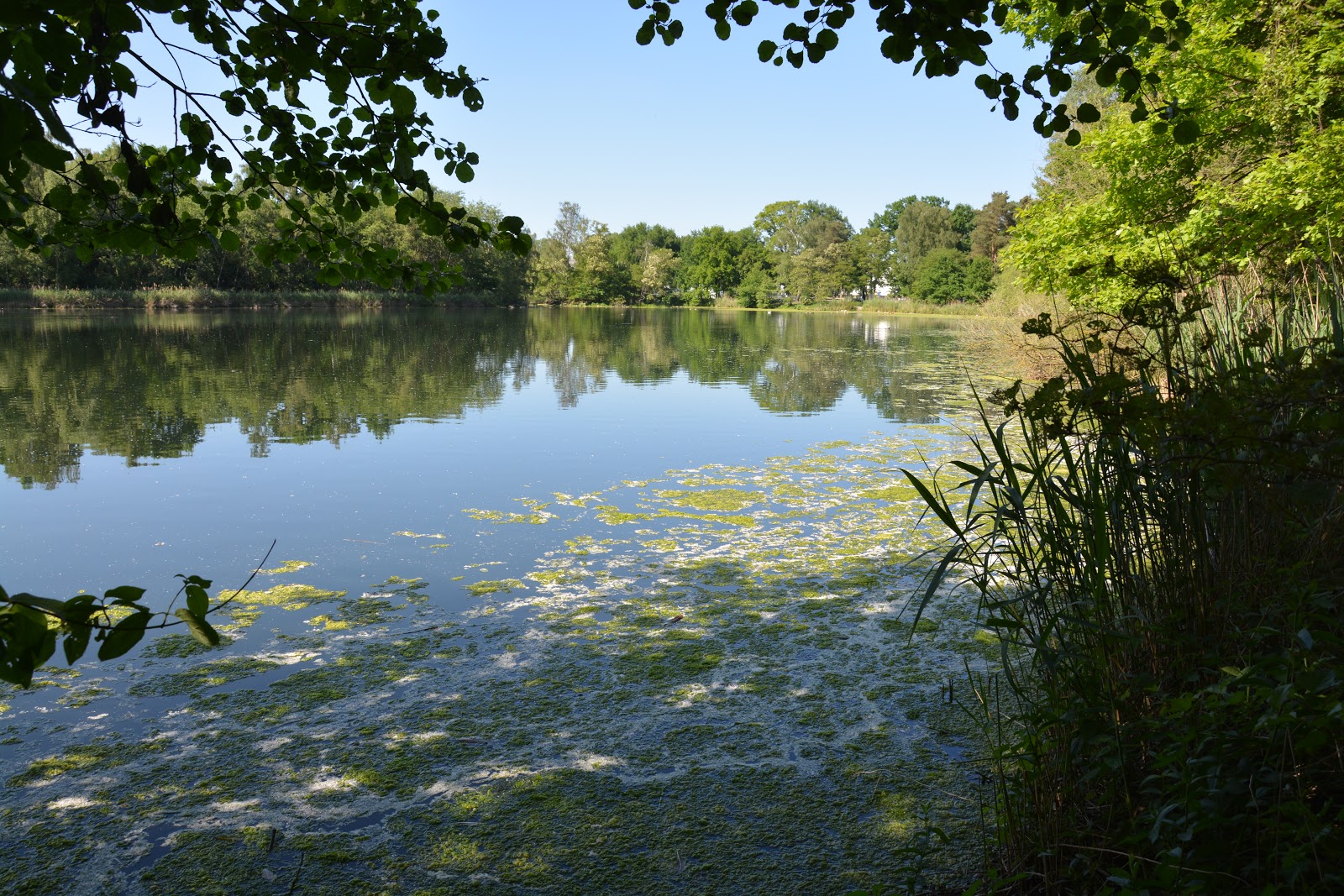Nürnberginfo Der Silbersee immer noch giftig