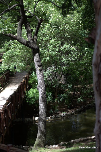 Parque del Retiro de Madrid. Itinerario 4. El Campo Grande.