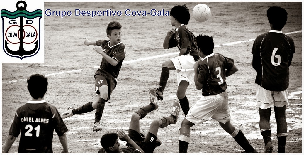 Grupo Desportivo Cova-Gala