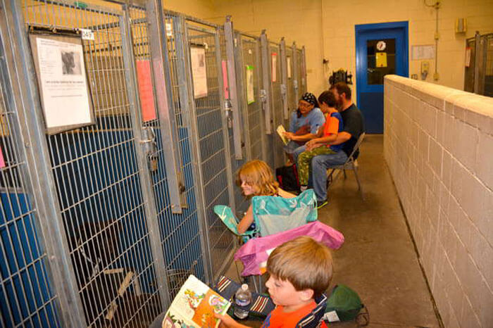 People Skipped The Fireworks On July 4th To Comfort Frightened Shelter Dogs People Skipped The Fireworks On July 4th To Comfort Frightened Shelter Dogs