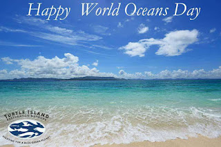 World Oceans Day HD Pictures, Wallpapers