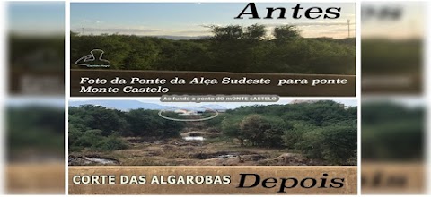 Revitalização dos Rios e Matas Ciliares da cidade de Patos-PB