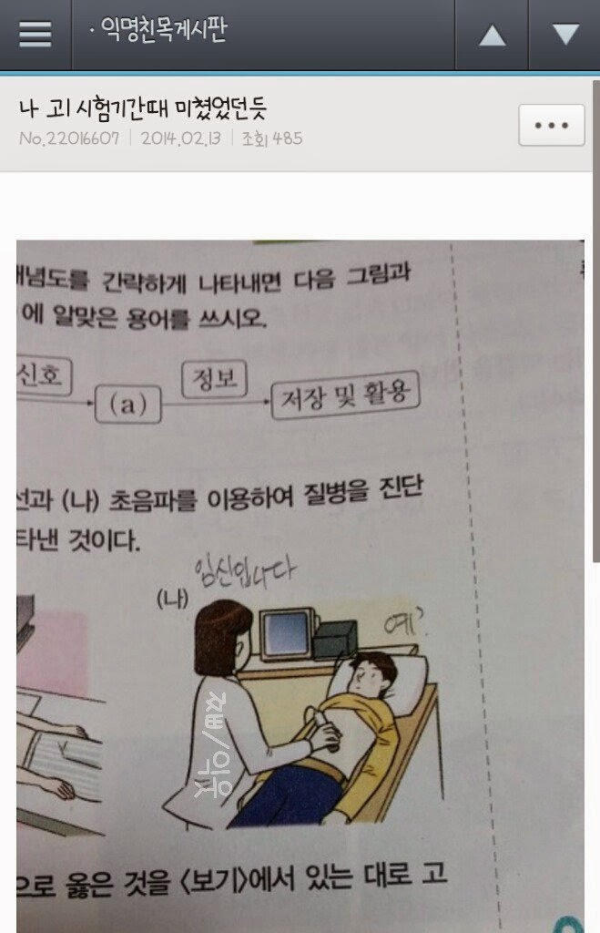 요즘에 그 이미쉘인가 걘 뭐하냐 | 인스티즈