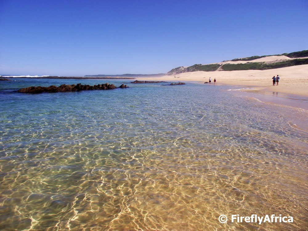 Port Elizabeth Daily Photo Tropical beach? No, Sardinia Bay on a late