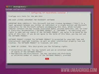 Instal Microsoft TrueType Core Font Ubuntu