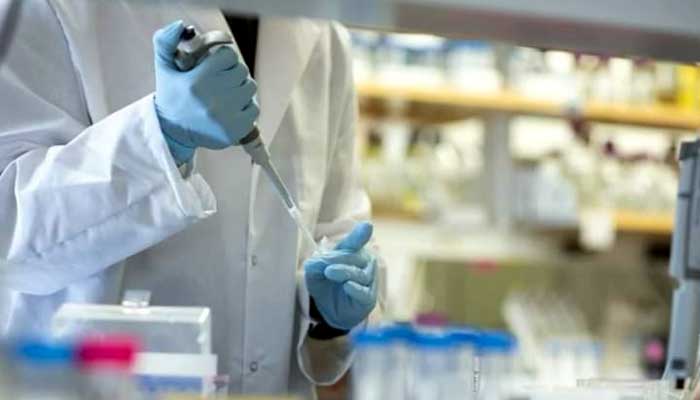 One piece of lemon will not be destroyed: scientists say এক টুকরা লেবুতেই ধ্বংস হবে করোনা জানালো বিজ্ঞানীরা