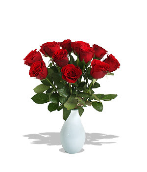 Rose vignettes: happy valentine wishes cool wallpapers: valentine rose