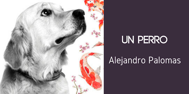 Un perro de Alejandro Palomas
