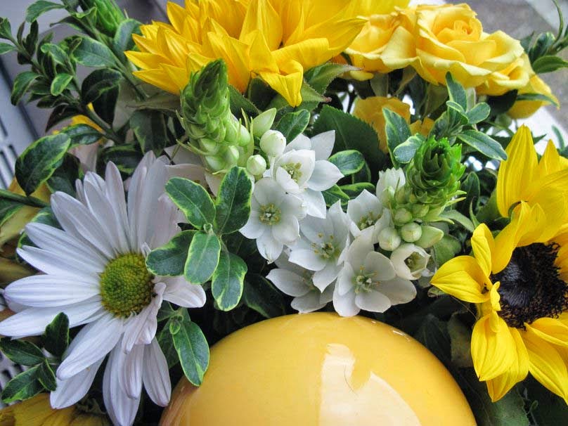 Wildflowers In Northern British Columbia Backwoods Mama