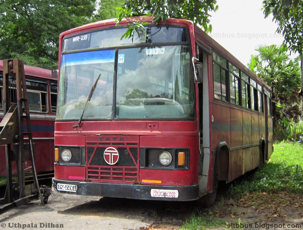 Tata 1313