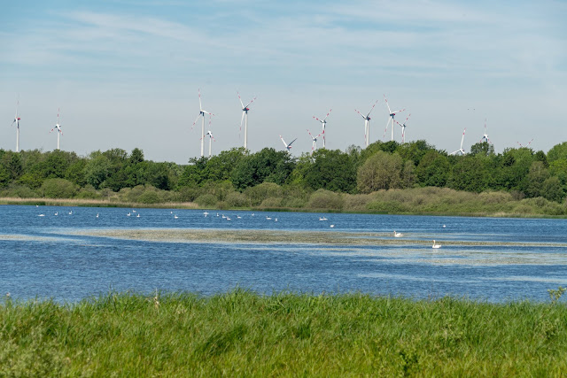 Westerwaldsteig Etappe 6 von Freilingen nach Nistertal  Westerwälder Seenplatte – Stöffelpark 08