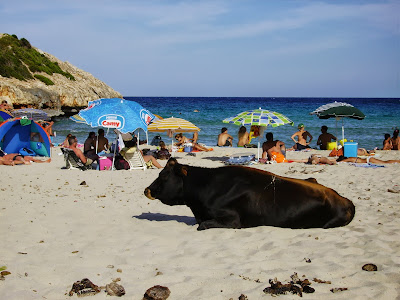 Cala Varques