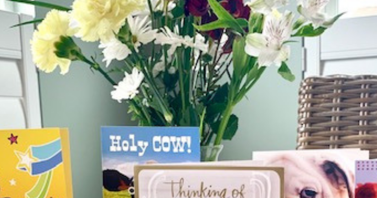 Dollar Tree and Hallmark Greeting Cards Celebrate! Our Good Life