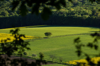 Naturfotografie Landschaftsfotografie Weserbergland