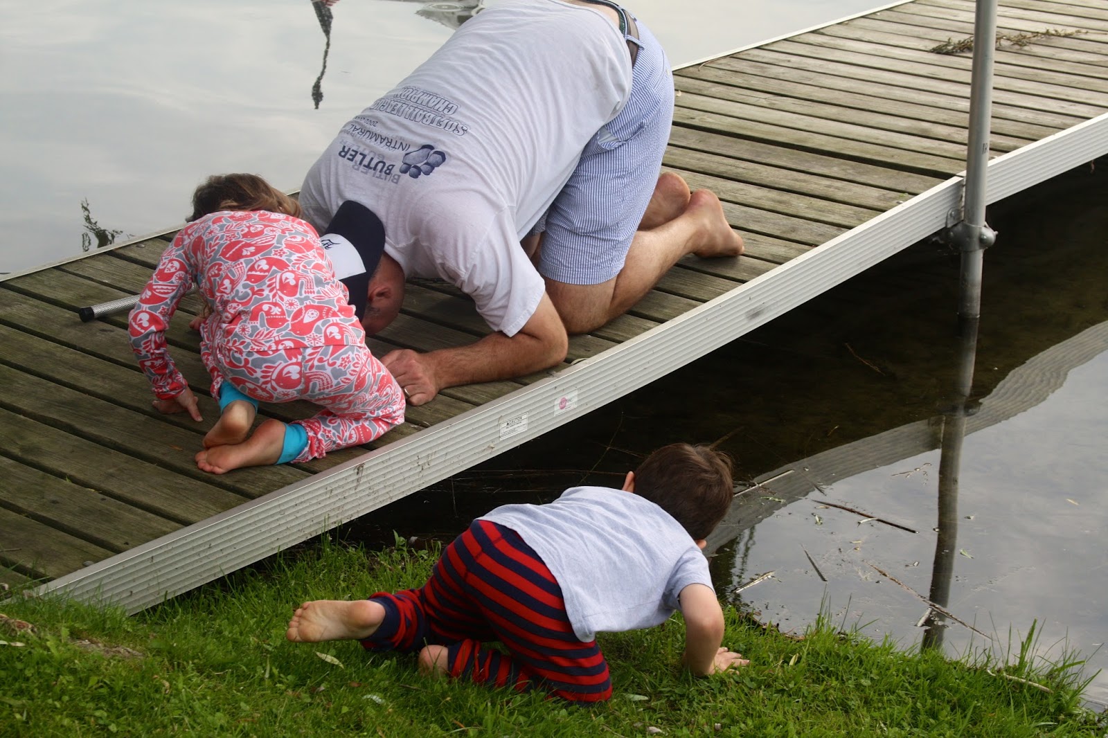 The Evolving Elseners Bullfrog Hunting