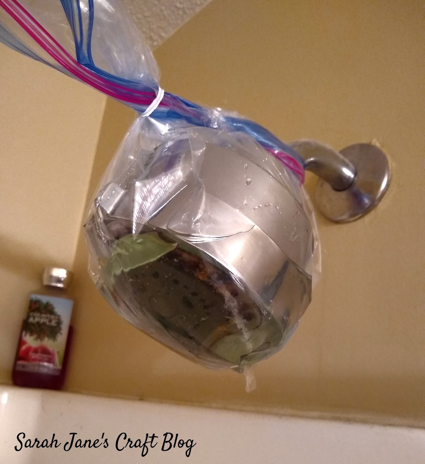 Tested Life Hack DIY Shower Head Cleaner