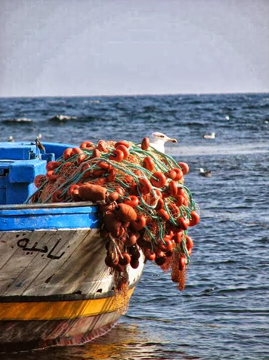 non sei tu il mare?