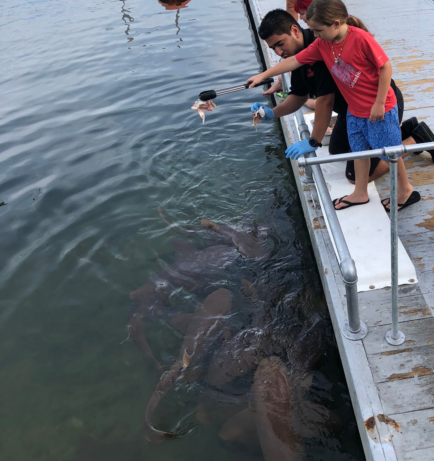 The Top Ten Places To Eat in The Florida Keys TfDiaries