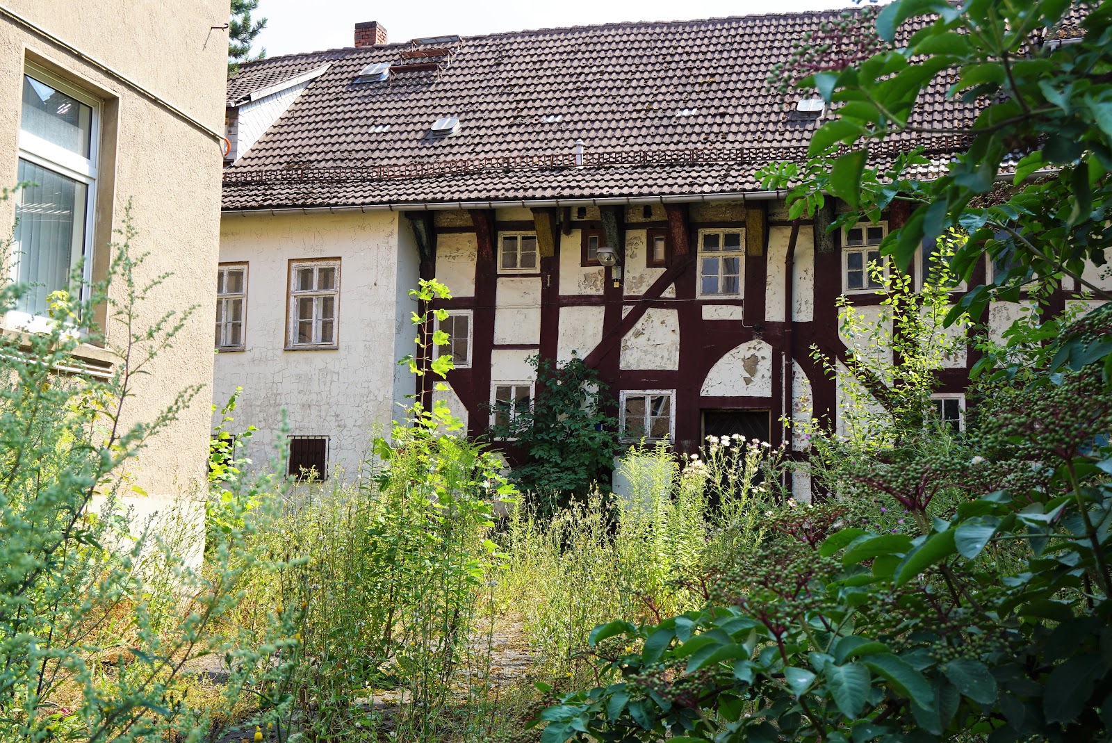 Bad Elster Naturtheater Programm