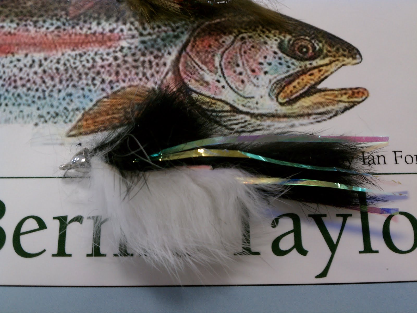 The Avid Angler, Fly Fishing Outfitters A Handful of Favorite Trout